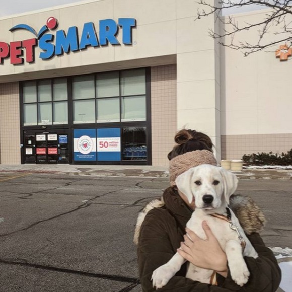 Meet the Posher Other - Meet your Posher, Victoria